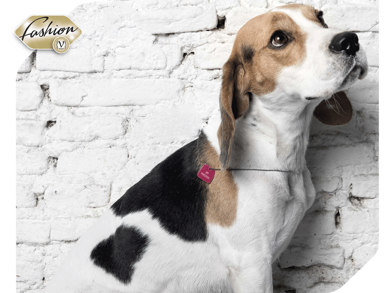 3rd Floor Tag Collection 2016- VESPER gr Magazine