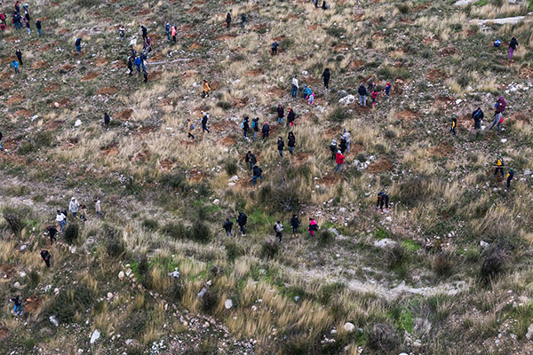 H Gruppo Cucine πραγματοποίησε την πρώτη δενδροφύτευση 1.000 δέντρων με τη We4all