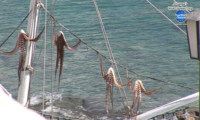 Η δεύτερη εβδομάδα στο Mykonos Secret. Ποιες δοκιμασίες περιμένουν τους παίκτες;