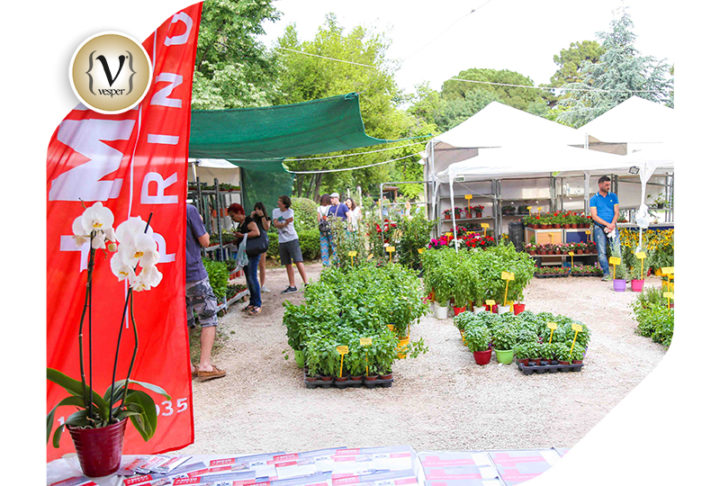 Η 63η Ανθοκομική Έκθεση Κηφισιάς