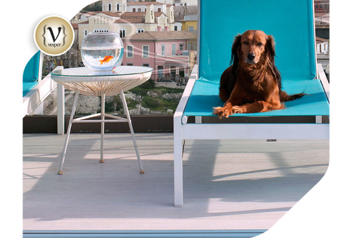 Σύντομα η επίσημη προβολή της φιλοζωικής ταινίας Re-Action