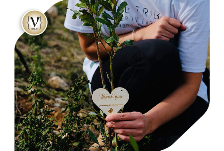 H Gruppo Cucine πραγματοποίησε την πρώτη δενδροφύτευση 1.000 δέντρων με τη We4all